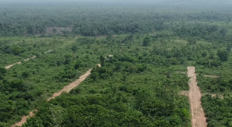 Plots of land at GLASGOW ESTATE