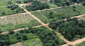 50X100 plot of land at  GRACEVILLE ESTATE