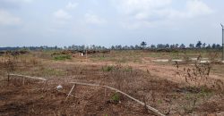 Plots of Land at D PRINCE BUILDERS LUXURY ESTATE
