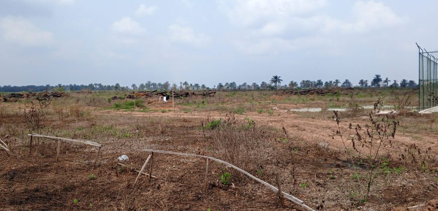 Plots of Land at D PRINCE BUILDERS LUXURY ESTATE