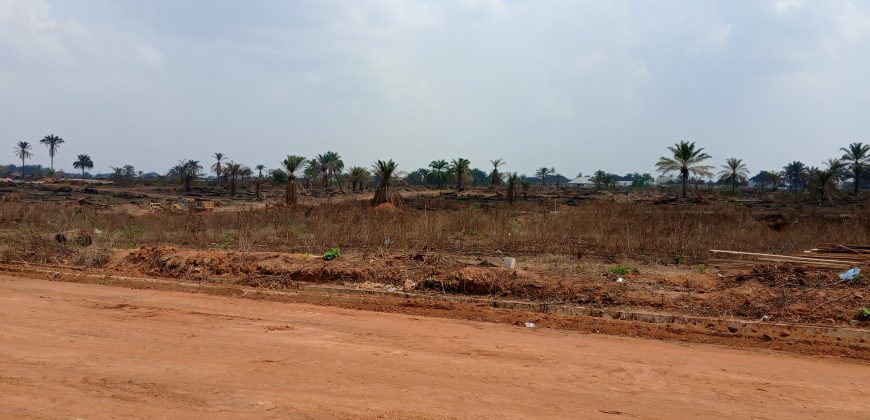 Plots of Land at D PRINCE BUILDERS LUXURY ESTATE