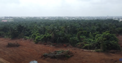 Plots of Land at Palm Hills LUXURY ESTATE