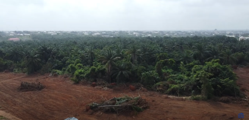 Plots of Land at Palm Hills LUXURY ESTATE