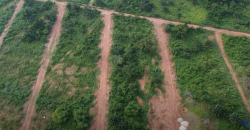 ROSEPEARL Estate land property