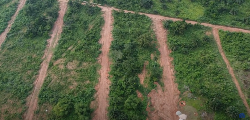 ROSEPEARL Estate land property