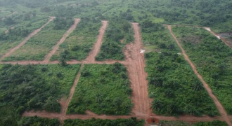 ROSEPEARL Estate land property