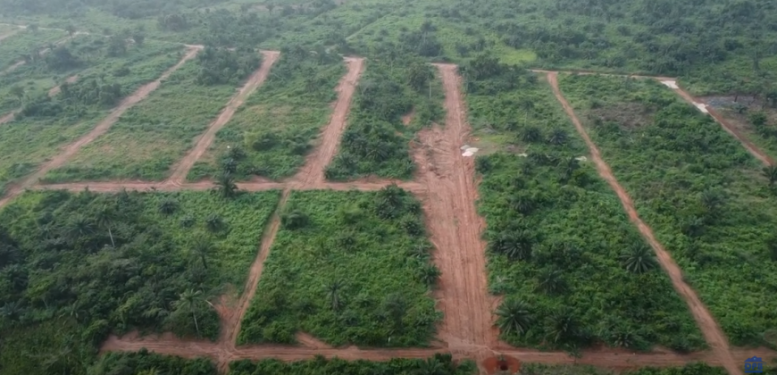 ROSEPEARL Estate land property