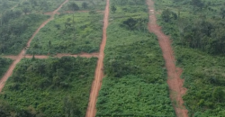 Plots of Land at Primrose Estate