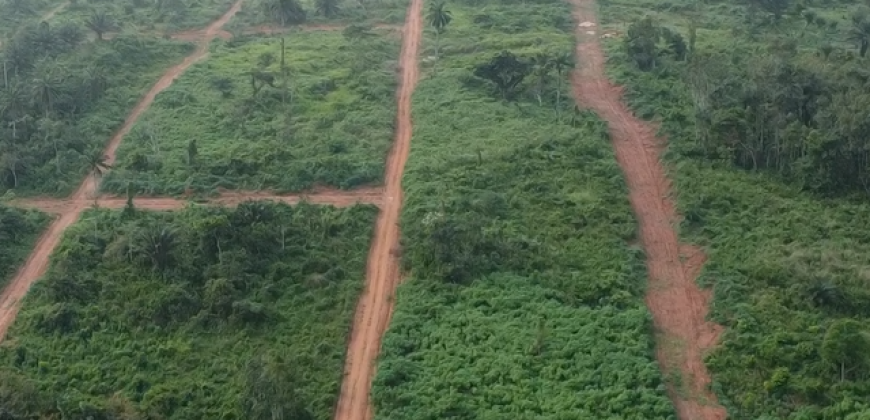 Plots of Land at Primrose Estate